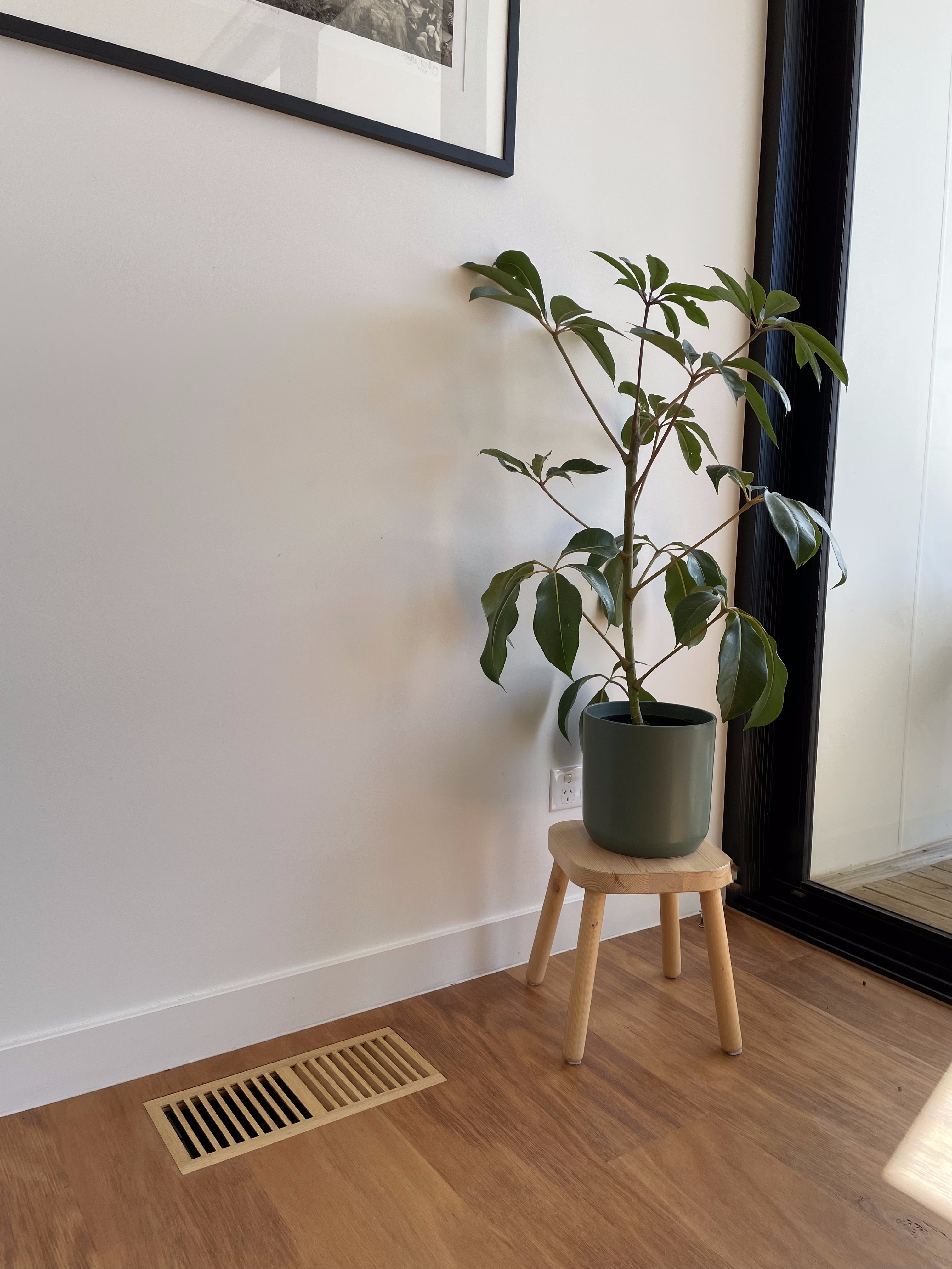 timber floor bargrille 1